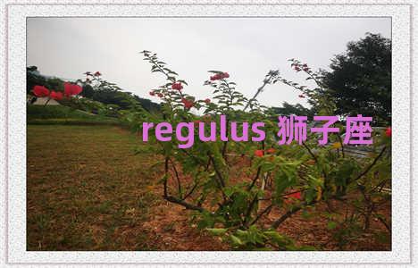 regulus 狮子座